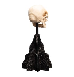 Le Seigneur des Anneaux - Statuette Skull of a Mordor Orc 14 cm