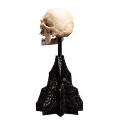 Lord of the Rings - Mini Statue Skull of a Mordor Orc 14 cm