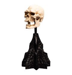 Le Seigneur des Anneaux - Statuette Skull of a Mordor Orc 14 cm