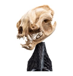 Le Seigneur des Anneaux - Statuette Skull of a Warg 20 cm