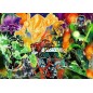 DC Comics - Puzzle Green Lantern (1000 pièces) DC Comics - Puzzle Green Lantern (1000 pièces)