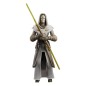 Star Wars : The Clone Wars Black Series - Figurine Jedi Temple Guard 15 cm