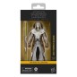 Star Wars - : The Clone Wars Black Series Action Figure Jedi Temple Guard 15 cm