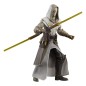 Star Wars - : The Clone Wars Black Series Action Figure Jedi Temple Guard 15 cm