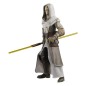Star Wars - : The Clone Wars Black Series Action Figure Jedi Temple Guard 15 cm