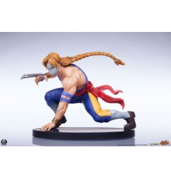 Street Fighter Street Jam - Statuettes 1/10 Ken & Vega