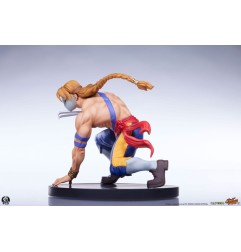 Street Fighter Street Jam - Statuettes 1/10 Ken & Vega