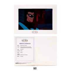 DC Direct - Figurine The New Batman Adventures Nightwing 15 cm