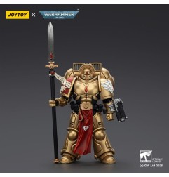 Warhammer - 40,000: Combat Patrol Blood Angels Action Figure Sanguinary Guard 2 with Angelus Boltgun and Encarmine Spear 20 cm