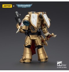 Warhammer - 40,000: Combat Patrol Blood Angels Action Figure Sanguinary Guard 1 with Inferno Pistol and Encarmine Blade 20 cm