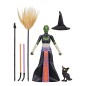 Star Wars - Black Series Action Figure Dathomir Witch (Halloween Edition) 15 cm Star Wars - Black Series Action Figure Dathomir Witch (Halloween Edition) 15 cm
