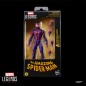 Marvel - The Amazing Spider-Man  Legends Action Figure Spider-Man Hellfire Gala 15 cm