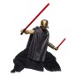Star Wars : The Acolyte Black Series - Figurine The Stranger (Qimir) 15 cm