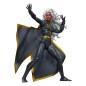 Marvel - The Uncanny X-Men Legends Action Figure Storm 15 cm Marvel - The Uncanny X-Men Legends Action Figure Storm 15 cm