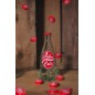 Fallout - Fizz Club Bundle Nuka Cola