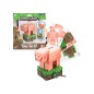 Minecraft - Kit Tirelire Cochon