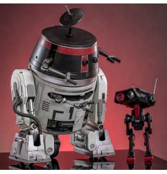 Star Wars - Set Figurines 1/6 Chopper (C1-10P&trade) & BD-1&trade (Imperial Disguise) 18 cm & 8 cm