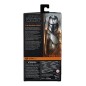 Star Wars - The Mandalorian Black Series Action Figure 2020 The Mandalorian 15 cm