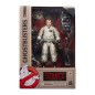 SOS Fantômes Plasma Series 2020 - Figurine Ray Stantz 15 cm