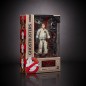 Ghostbusters - Plasma Series Action Figure 2020 Wave 1 Ray Stantz 15 cm