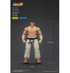 The King Of Fighters' 98 - Figurine Hero Team Goro Daimon 12 cm