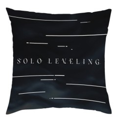Solo Leveling - Coussin Sung Jin-Woo 40 x 40 cm