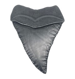 Les Dents de la Mer - Médaillon Les Dents de la Mer 50th Anniversary Dent de Requin