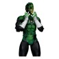 DC Comics - DC Multiverse McFarlane Cover Recreations Action Figure Green Lantern (Emerald Twilight) (Gold Label) 18 cm DC Comics - DC Multiverse McFarlane Cover Recreations Action Figure Green Lantern (Emerald Twilight) (Gold Label) 18 cm