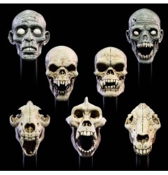 Mythic Legions : All Stars 6 - Pack accessoires pour figurines Undead Heads Pack