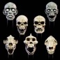 Mythic Legions : All Stars 6 - Pack accessoires pour figurines Undead Heads Pack