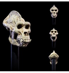 Mythic Legions : All Stars 6 - Pack accessoires pour figurines Undead Heads Pack