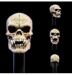 Mythic Legions : All Stars 6 - Pack accessoires pour figurines Undead Heads Pack