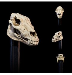 Mythic Legions - : All Stars 6 Action Figure Accessorys Undead Heads Pack