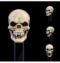 Mythic Legions - : All Stars 6 Action Figure Accessorys Undead Heads Pack