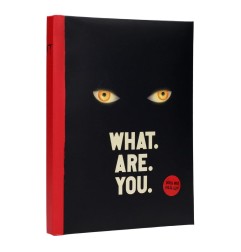 Ça - Cahier lumineux What are you