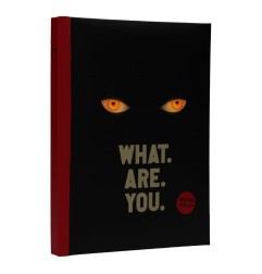 Ça - Cahier lumineux What are you