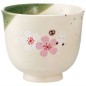 Studio Ghibli - My Neighbor Totoro Japanese Tea Cup Mino
