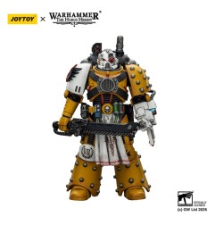 Warhammer 40k: imperial Fists - Figurine Legion Apothecary 12 cm