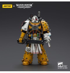 Warhammer 40k: imperial Fists - Figurine Legion Apothecary 12 cm