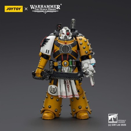 Warhammer 40k: imperial Fists - Figurine Legion Apothecary 12 cm