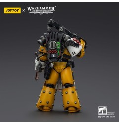 Warhammer 40k: imperial Fists - Figurine Legion Apothecary 12 cm