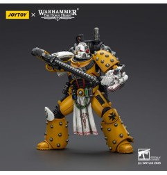 Warhammer - 40,000: imperial Fists Action Figure Legion Apothecary 12 cm