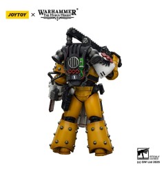 Warhammer 40k: imperial Fists - Figurine Legion Apothecary 12 cm