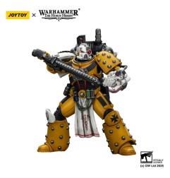 Warhammer - 40,000: imperial Fists Action Figure Legion Apothecary 12 cm