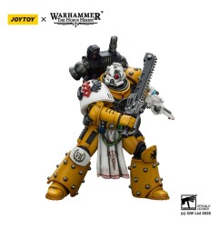 Warhammer 40k: imperial Fists - Figurine Legion Apothecary 12 cm