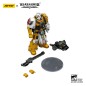 Warhammer - 40,000: imperial Fists Action Figure Legion Apothecary 12 cm