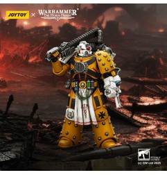 Warhammer 40k: imperial Fists - Figurine Legion Apothecary 12 cm