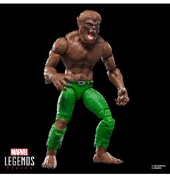 Marvel Legends Action - Figurine Werewolf by Night (BAF: Executioner) 15 cm