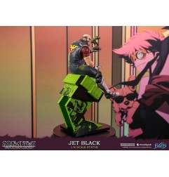 Cowboy Bebop - Statuette 1/8 Jet Black 30 cm