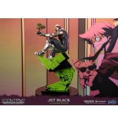 Cowboy Bebop - Statuette 1/8 Jet Black 30 cm